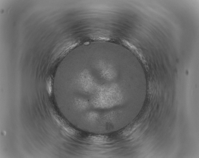 X0000086890069200704231138