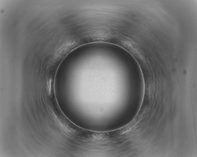 X0000086890070200704231138