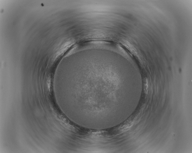 X0000086890072200704231138