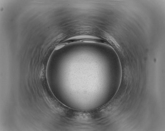 X0000086890073200704231138