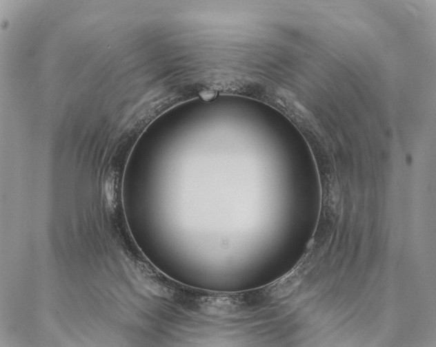 X0000086890074200704231138