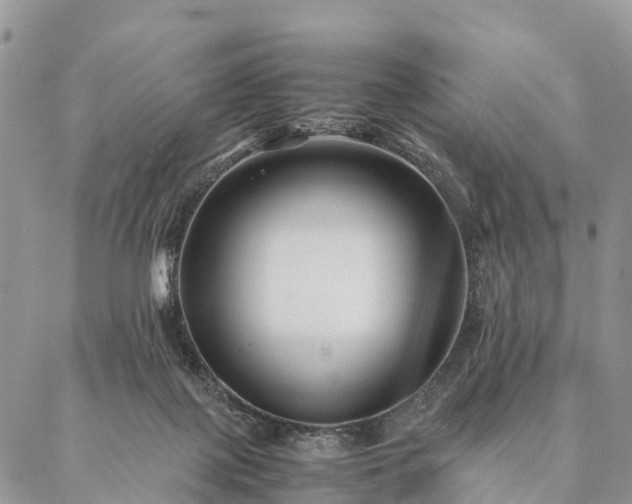 X0000086890075200704231138