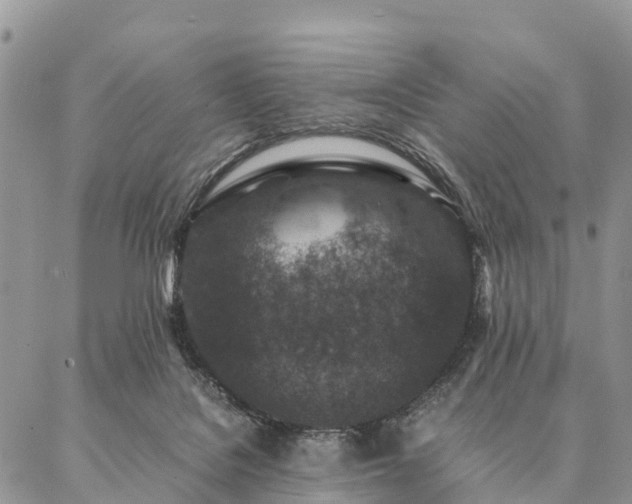 X0000086890076200704231139