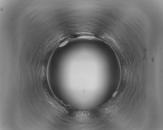 X0000086890077200704231139