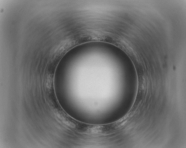 X0000086890078200704231139