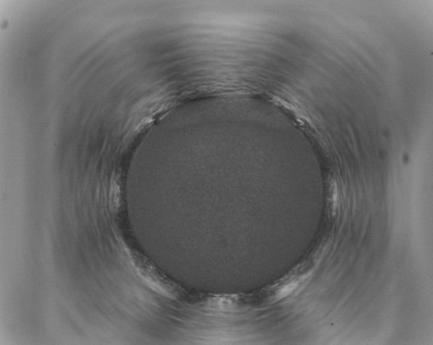 X0000086890080200704231139