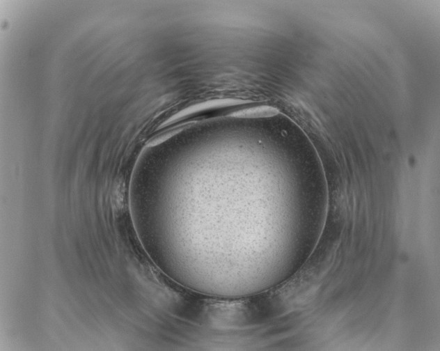 X0000086890081200704231139