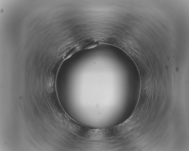 X0000086890082200704231139