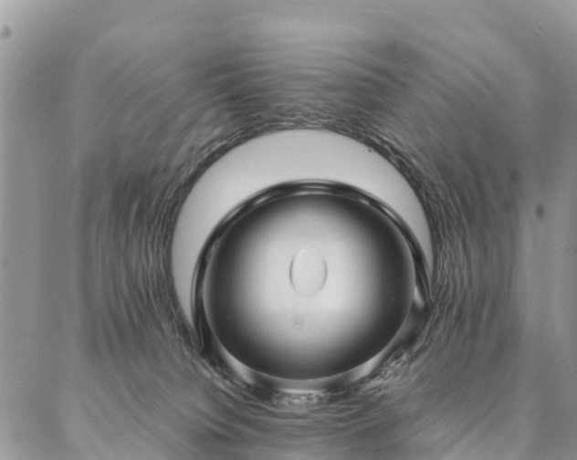 X0000086890084200704231139