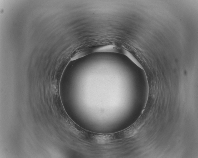 X0000086890085200704231139