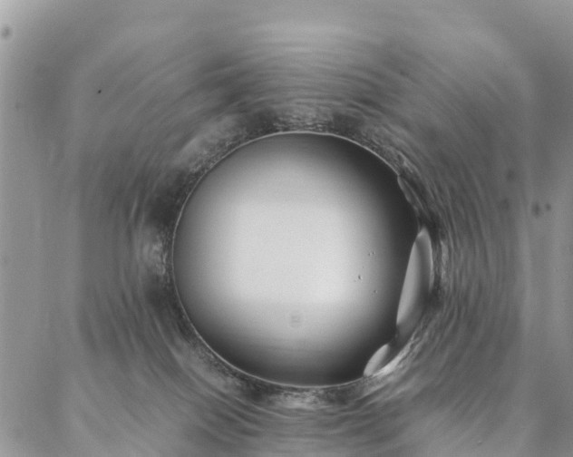 X0000086890086200704231139