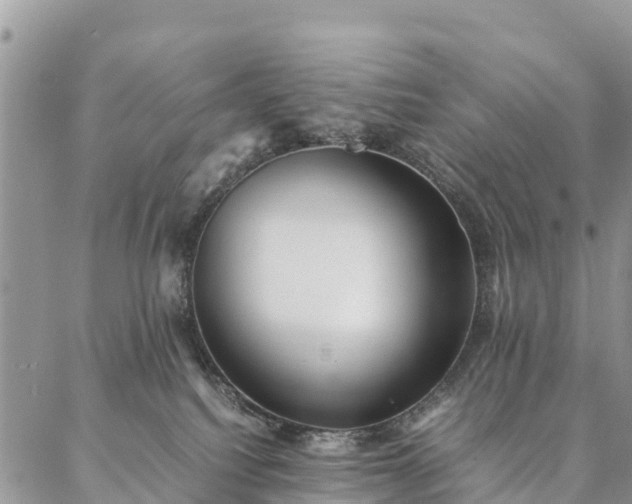 X0000086890088200704231139