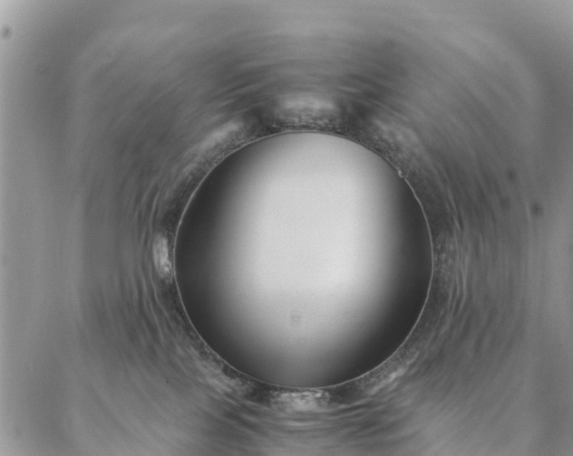 X0000086890089200704231139