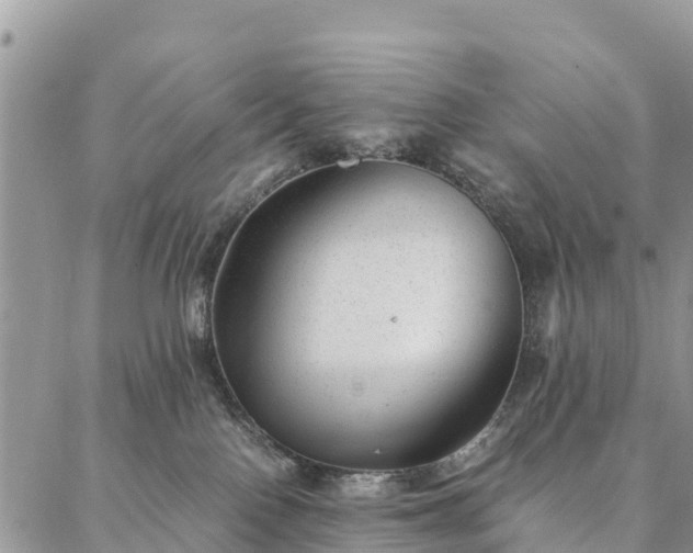 X0000086890090200704231139