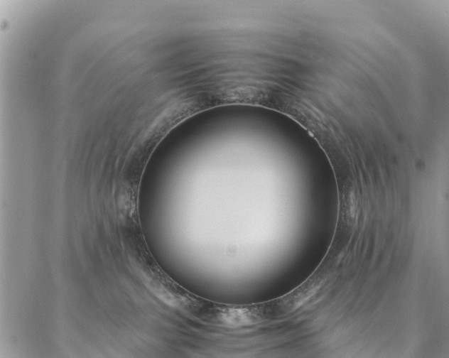 X0000086890091200704231139