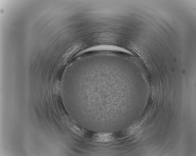 X0000086890093200704231139