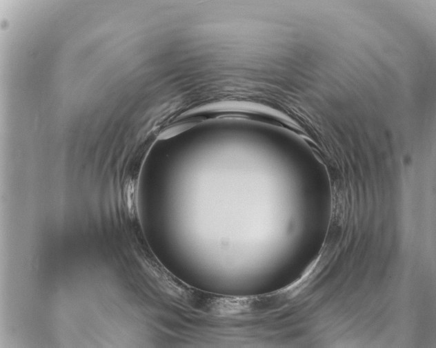 X0000086890094200704231139