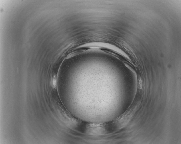 X0000086890095200704231139