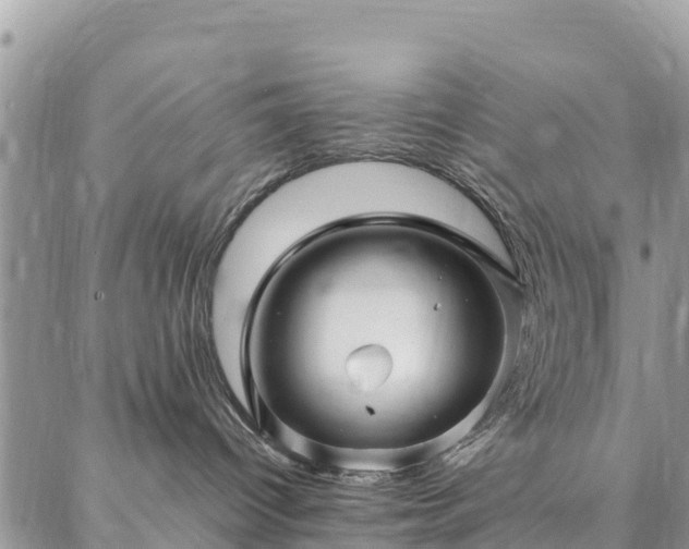 X0000086890096200704231139