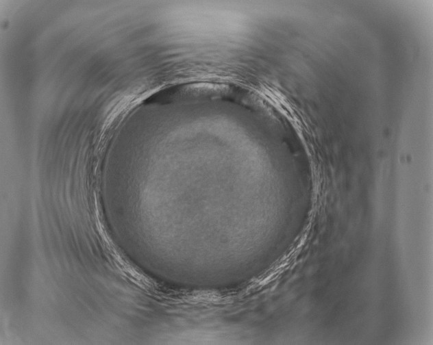 X0000086890097200704231138