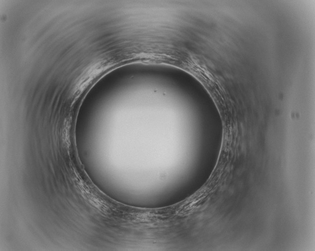 X0000086890098200704231138