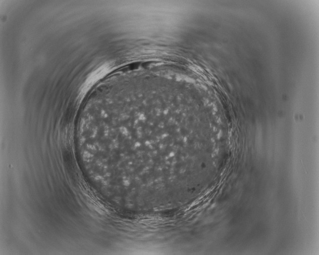 X0000086890099200704231138