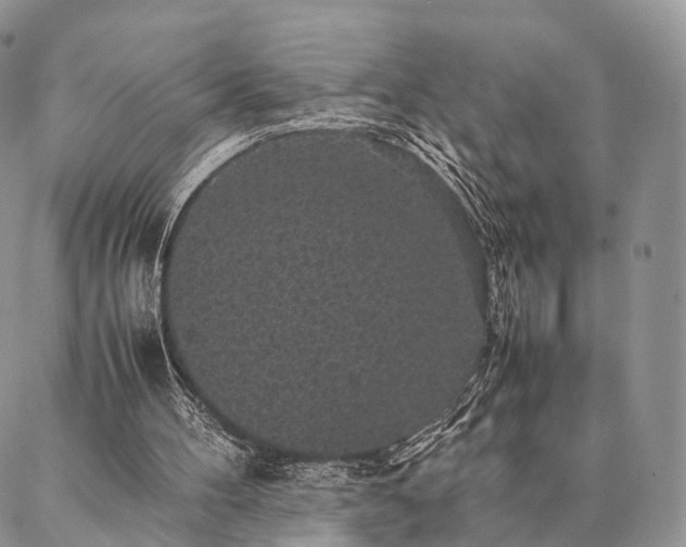 X0000086890100200704231138