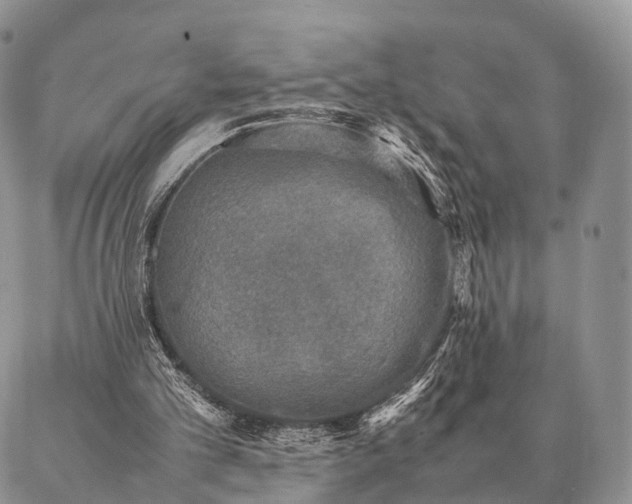 X0000086890101200704231138