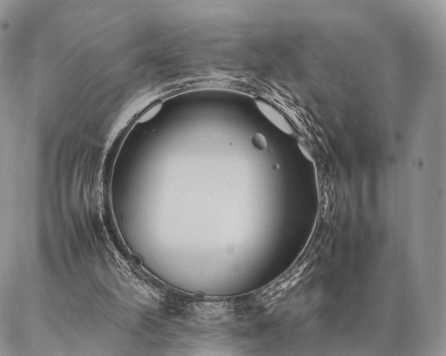 X0000086890102200704231138