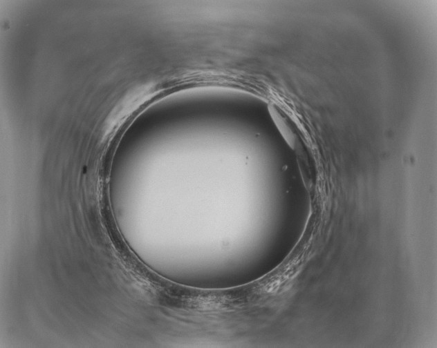 X0000086890103200704231138