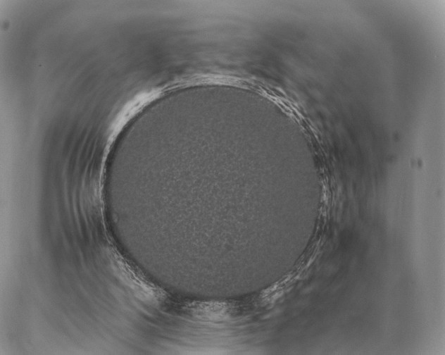 X0000086890104200704231138