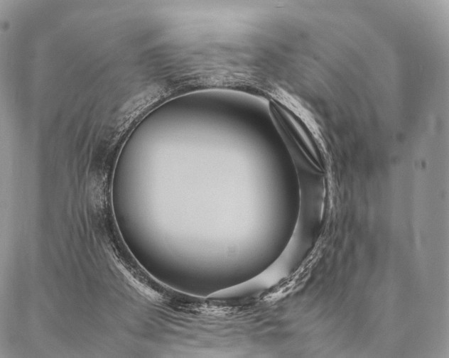 X0000086890105200704231138