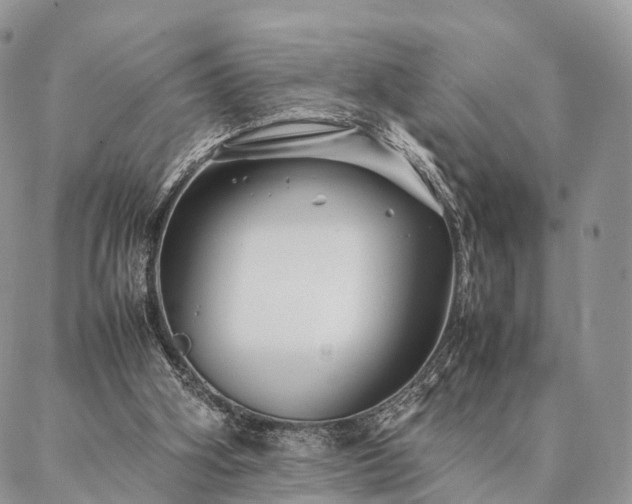 X0000086890106200704231138