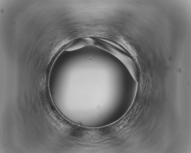 X0000086890107200704231138