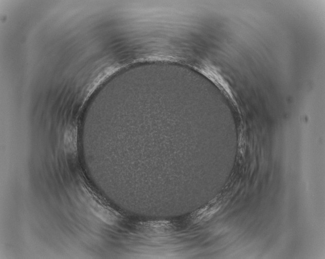 X0000086890108200704231138