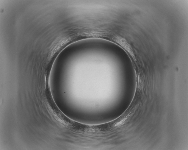 X0000086890109200704231138