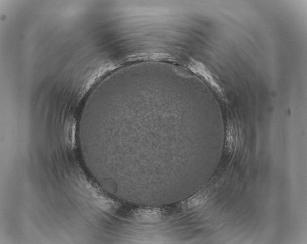 X0000086890110200704231138