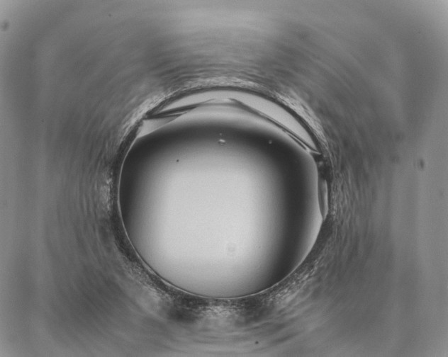 X0000086890111200704231138