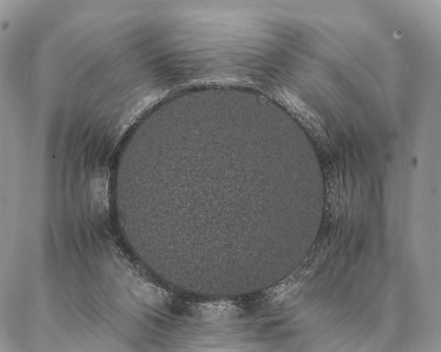 X0000086890112200704231138