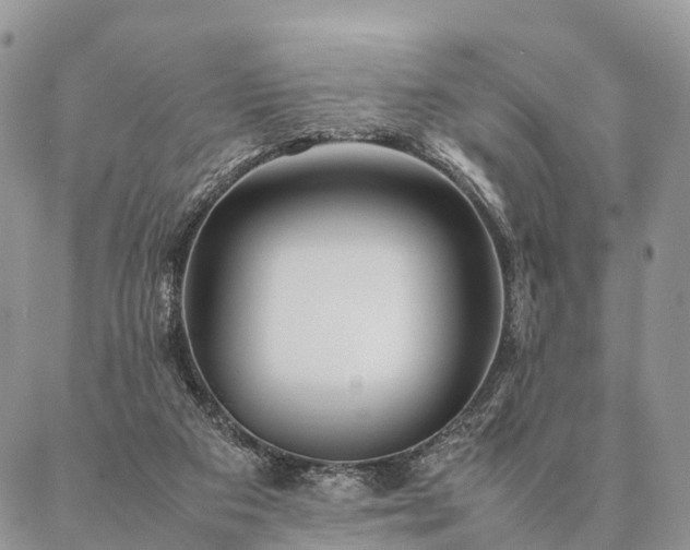 X0000086890113200704231138