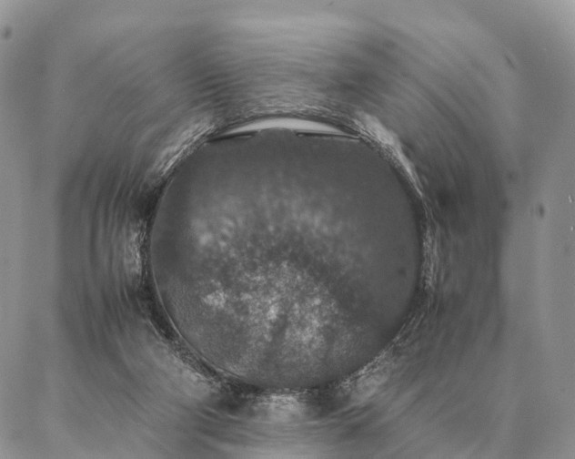 X0000086890114200704231138