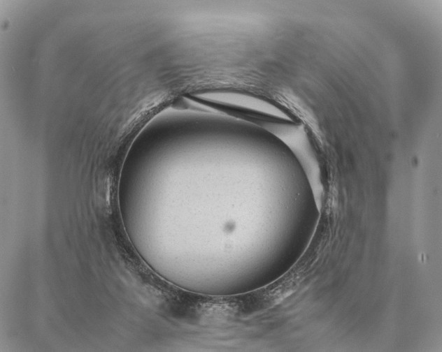 X0000086890115200704231138