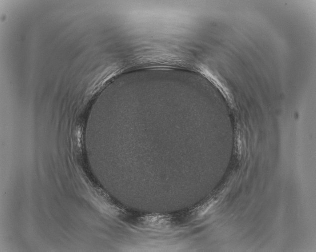 X0000086890117200704231138