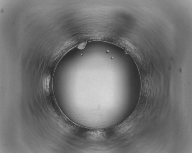 X0000086890118200704231138