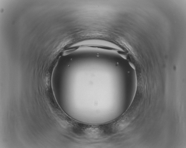 X0000086890119200704231138