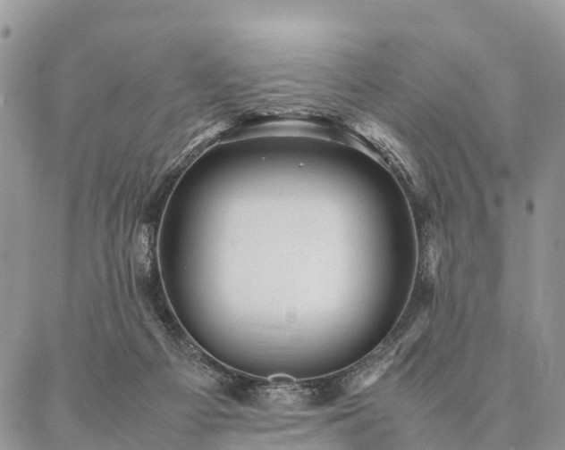 X0000086890121200704231138