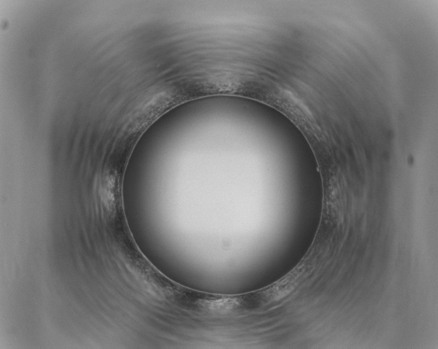 X0000086890122200704231138