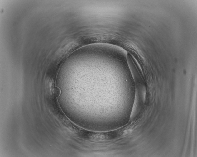 X0000086890123200704231138