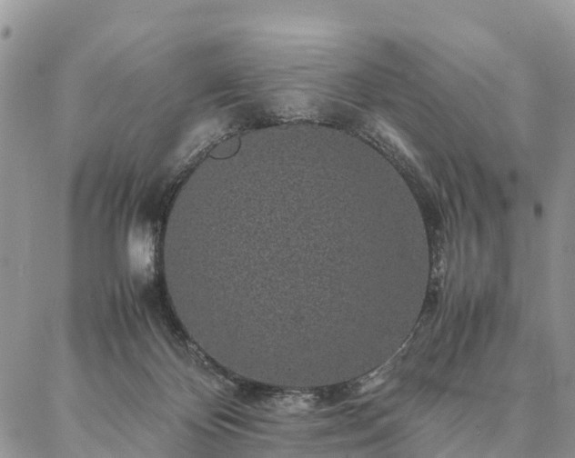 X0000086890124200704231138