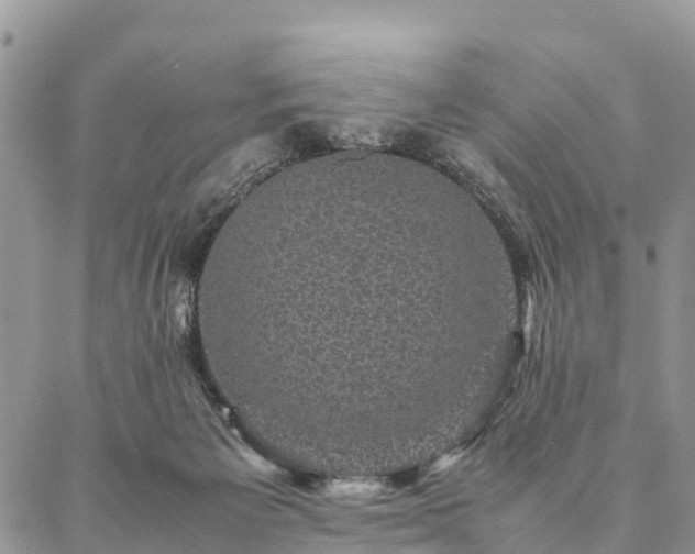 X0000086890125200704231138